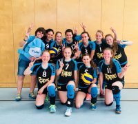 Vizemeister ADM-Volleys sind Vizemeister der 2.LL!